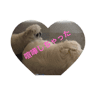 ケンカしちゃった（個別スタンプ：1）