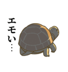 リクガメ！（個別スタンプ：14）