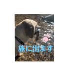 おからすたぐらむ（個別スタンプ：2）