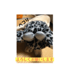 おからすたぐらむ（個別スタンプ：3）