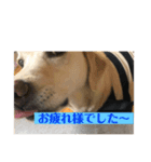 おからすたぐらむ（個別スタンプ：4）