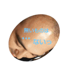 ほいどめ軍団（個別スタンプ：3）