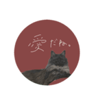 猫はせかいをすくう（個別スタンプ：4）