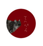 猫はせかいをすくう（個別スタンプ：7）
