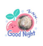 日常で使える猫スタンプ♥（個別スタンプ：4）