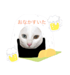 日常で使える猫スタンプ♥（個別スタンプ：9）