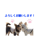 ビーくんとちゃーちゃん（個別スタンプ：1）