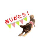 ビーくんとちゃーちゃん（個別スタンプ：3）