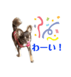 ビーくんとちゃーちゃん（個別スタンプ：4）