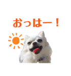 ビーくんとちゃーちゃん（個別スタンプ：6）