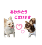 ビーくんとちゃーちゃん（個別スタンプ：7）