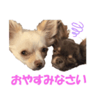 ビーくんとちゃーちゃん（個別スタンプ：8）