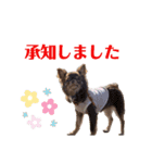 ビーくんとちゃーちゃん（個別スタンプ：10）