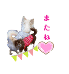 ビーくんとちゃーちゃん（個別スタンプ：14）