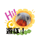 ビーくんとちゃーちゃん（個別スタンプ：16）