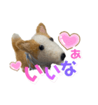チビコギズ 2（個別スタンプ：1）