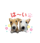 チビコギズ 2（個別スタンプ：2）