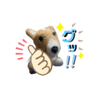 チビコギズ 2（個別スタンプ：3）