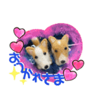 チビコギズ 2（個別スタンプ：16）