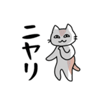 【毒舌】関西弁のネコのシュールな日常会話（個別スタンプ：14）
