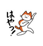【毒舌】関西弁のネコのシュールな日常会話（個別スタンプ：28）