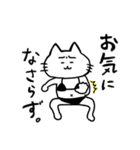 黒ビキニねこ2(敬語)（個別スタンプ：22）