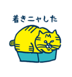 猫派さんのスタンプ（個別スタンプ：11）