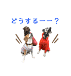 白黒茶 三兄弟〜♪♪♪（個別スタンプ：14）