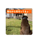白黒茶 三兄弟〜♪♪♪（個別スタンプ：19）