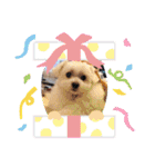 まっちろ家族（個別スタンプ：18）