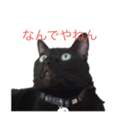 黒猫ミロ（個別スタンプ：5）