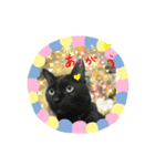 黒猫ミロ（個別スタンプ：7）