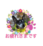 momosakuの日常スタンプ（個別スタンプ：4）