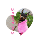 momosakuの日常スタンプ（個別スタンプ：9）