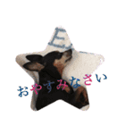 momosakuの日常スタンプ（個別スタンプ：15）