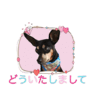 momosakuの日常スタンプ（個別スタンプ：24）