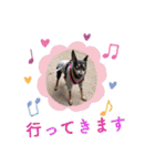 momosakuの日常スタンプ（個別スタンプ：27）