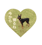 momosakuの日常スタンプ（個別スタンプ：33）