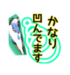 ぴこの語り2（個別スタンプ：3）
