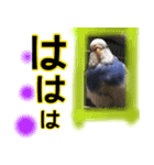 ぴこの語り2（個別スタンプ：4）