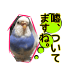 ぴこの語り2（個別スタンプ：6）