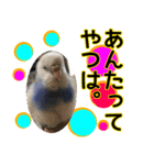 ぴこの語り2（個別スタンプ：7）