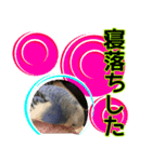 ぴこの語り2（個別スタンプ：8）