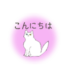 オッドアイキャット（敬語）（個別スタンプ：2）