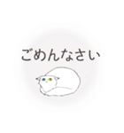 オッドアイキャット（敬語）（個別スタンプ：12）