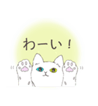 オッドアイキャット（敬語）（個別スタンプ：13）