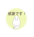 オッドアイキャット（敬語）（個別スタンプ：14）