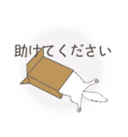 オッドアイキャット（敬語）（個別スタンプ：19）