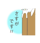 オッドアイキャット（敬語）（個別スタンプ：20）