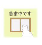 オッドアイキャット（敬語）（個別スタンプ：34）